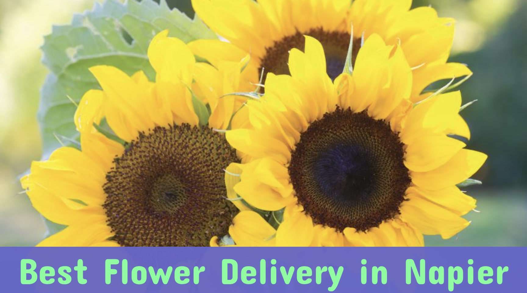 Best Flower Delivery in Napier