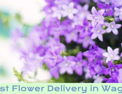 The 5 Shops for the Best Flower Delivery in Wagga