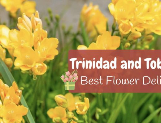 Best Flower Delivery in Trinidad and Tobago