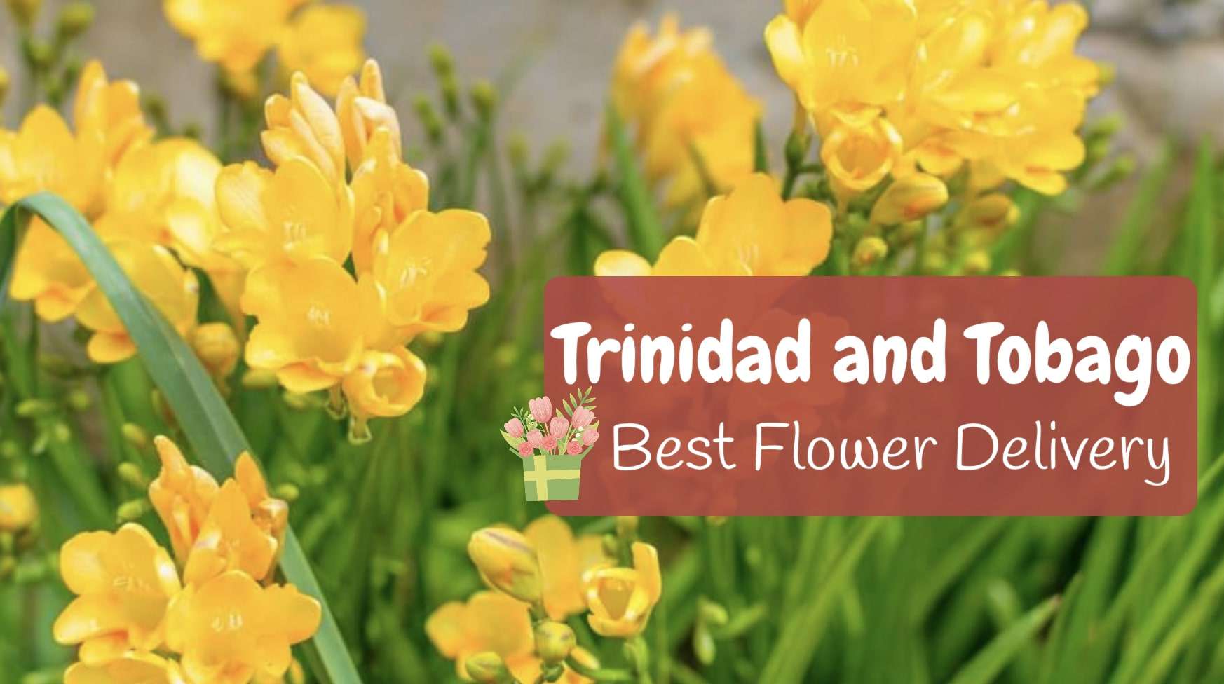 Best Flower Delivery in Trinidad and Tobago