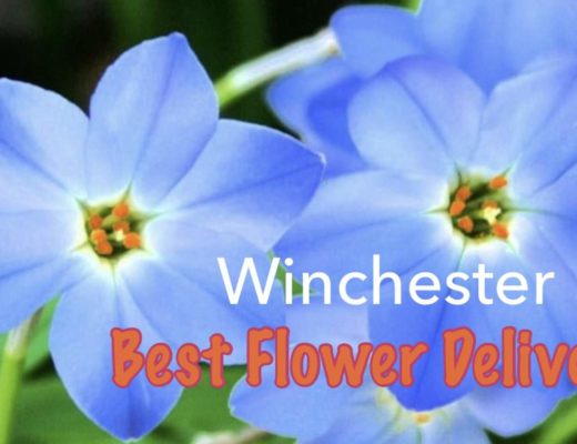 The 5 Best Options for Flower Delivery in Winchester