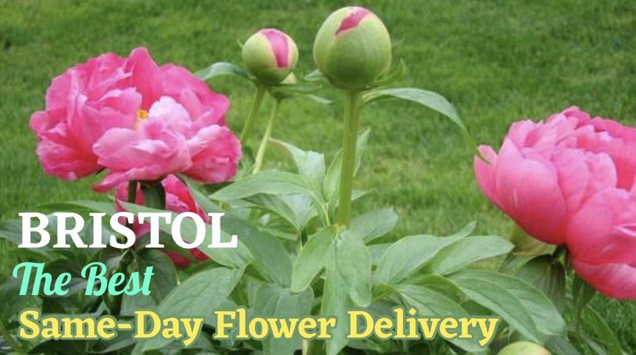 Best Same-Day Flower Delivery in Bristol