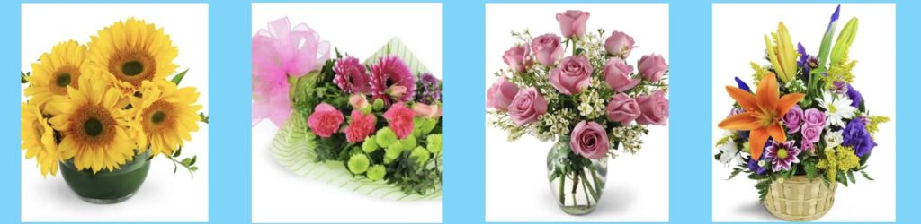 Grower Direct's Flowers