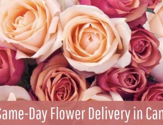 The 5 Best Options for Same-Day Flower Delivery in Canberra
