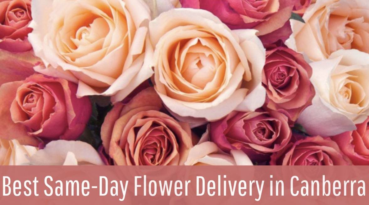 Best Same-Day Flower Delivery in Canberra