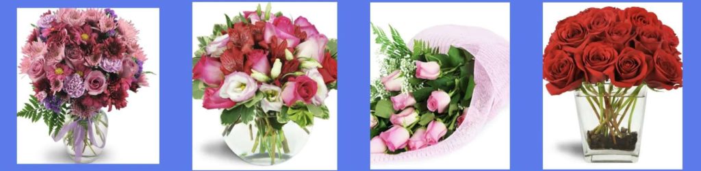 The Ottawa Flower Shop