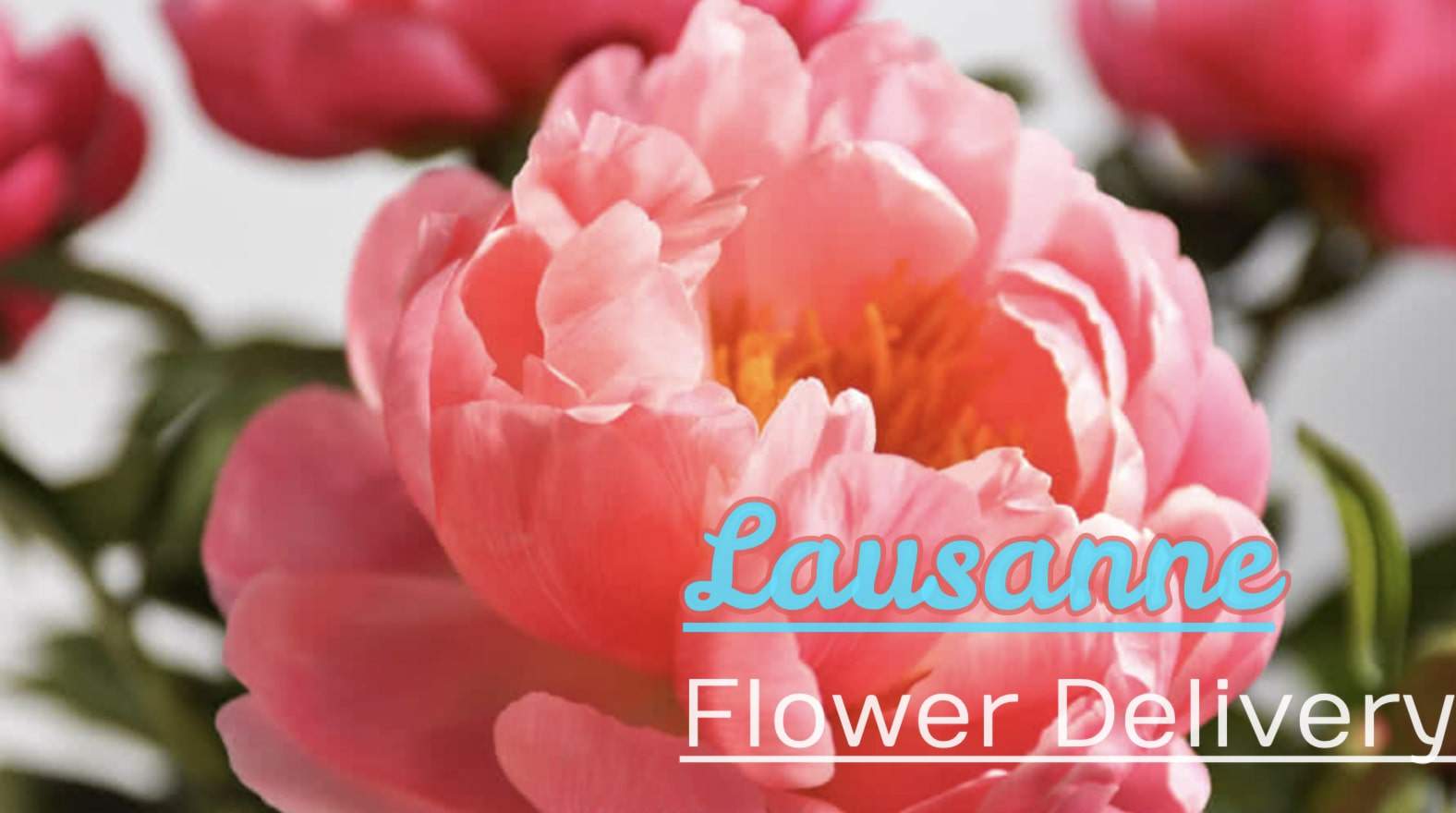 Best Flower Delivery in Lausanne