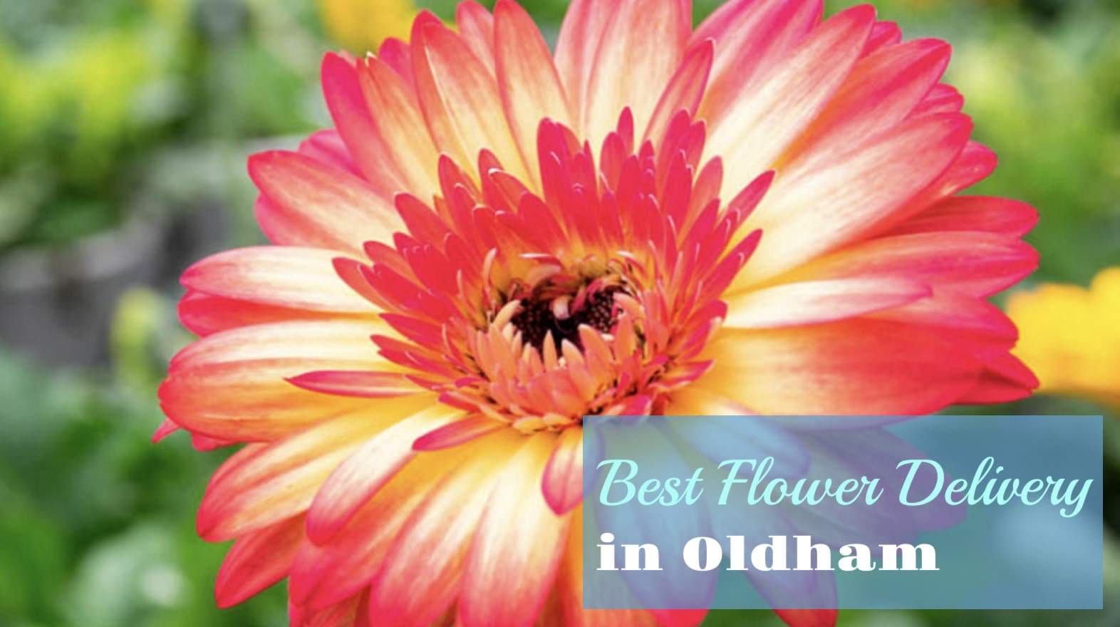 Best Flower Delivery in Oldham