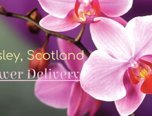 The 5 Best Options for Flower Delivery in Paisley