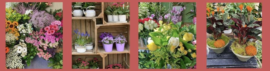 Chichester Flowers