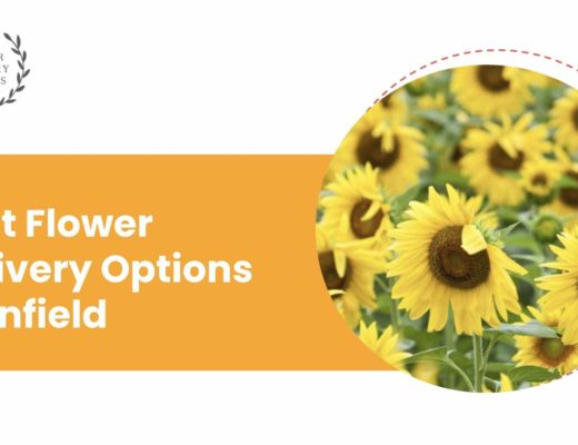 The 5 Best Options for Flower Delivery in Enfield
