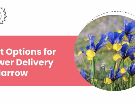 Best Flower Delivery in Harrow