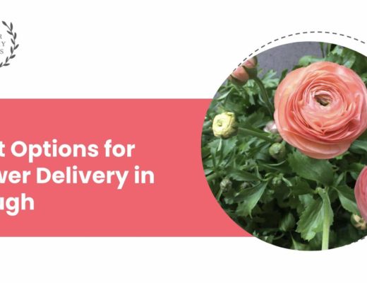 The 5 Best Options for Flower Delivery in Slough