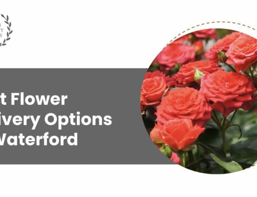 The 5 Best Options for Flower Delivery in Waterford