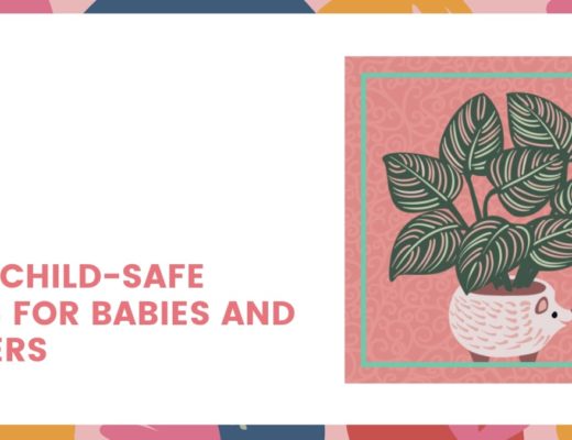 4 Best Child-Safe Plants for Babies and Toddlers