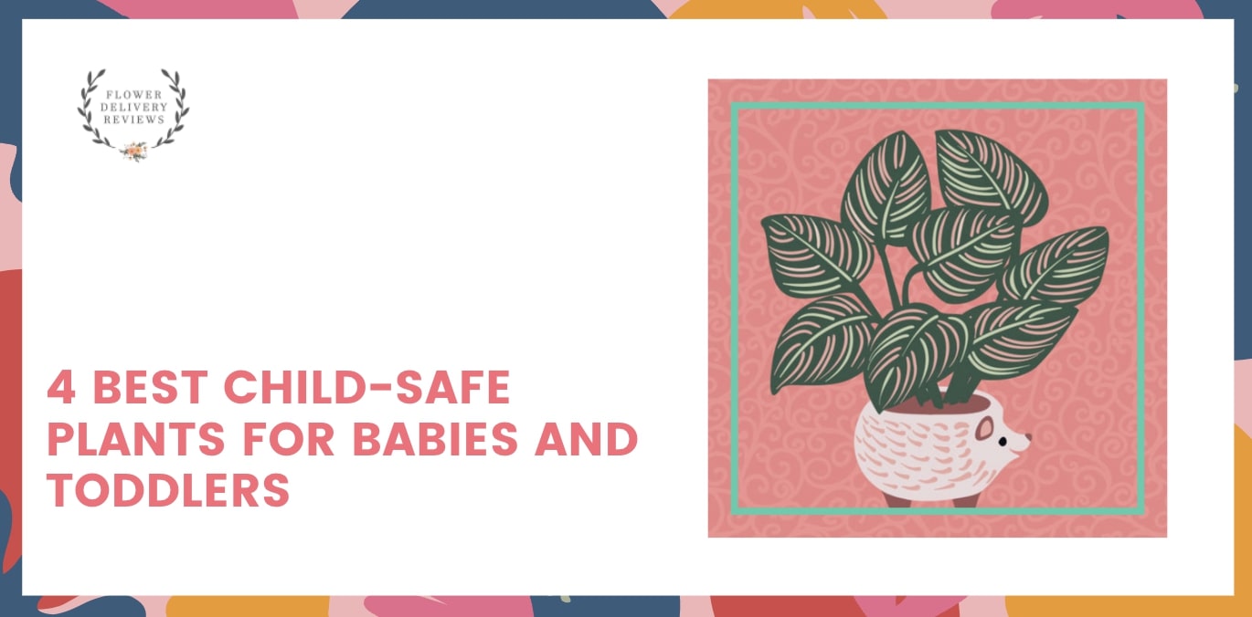 4 Best Child-Safe Plants for Babies and Toddlers
