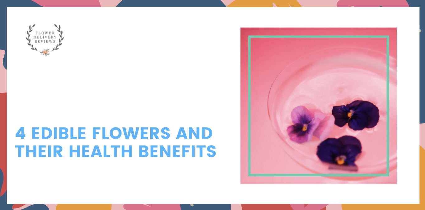 4 Edible Flowers and Their Health Benefits