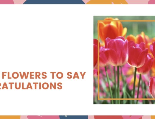 5 Best Flowers to Say Congratulations