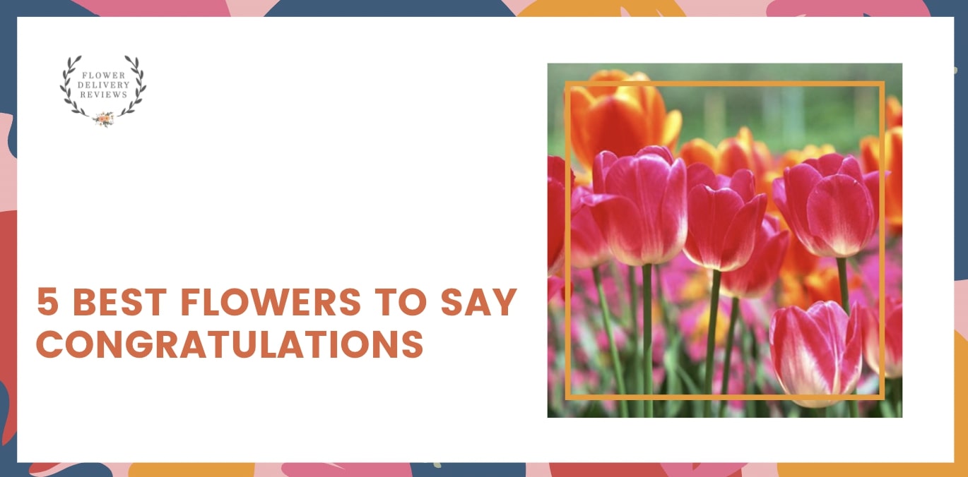 5 Best Flowers to Say Congratulations