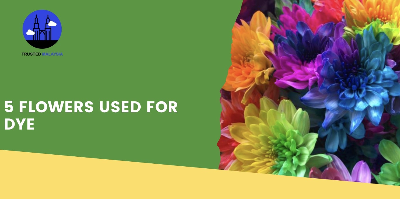 5 Flowers Used for Dye