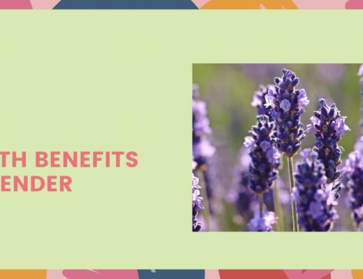 5 Health Benefits of Lavender