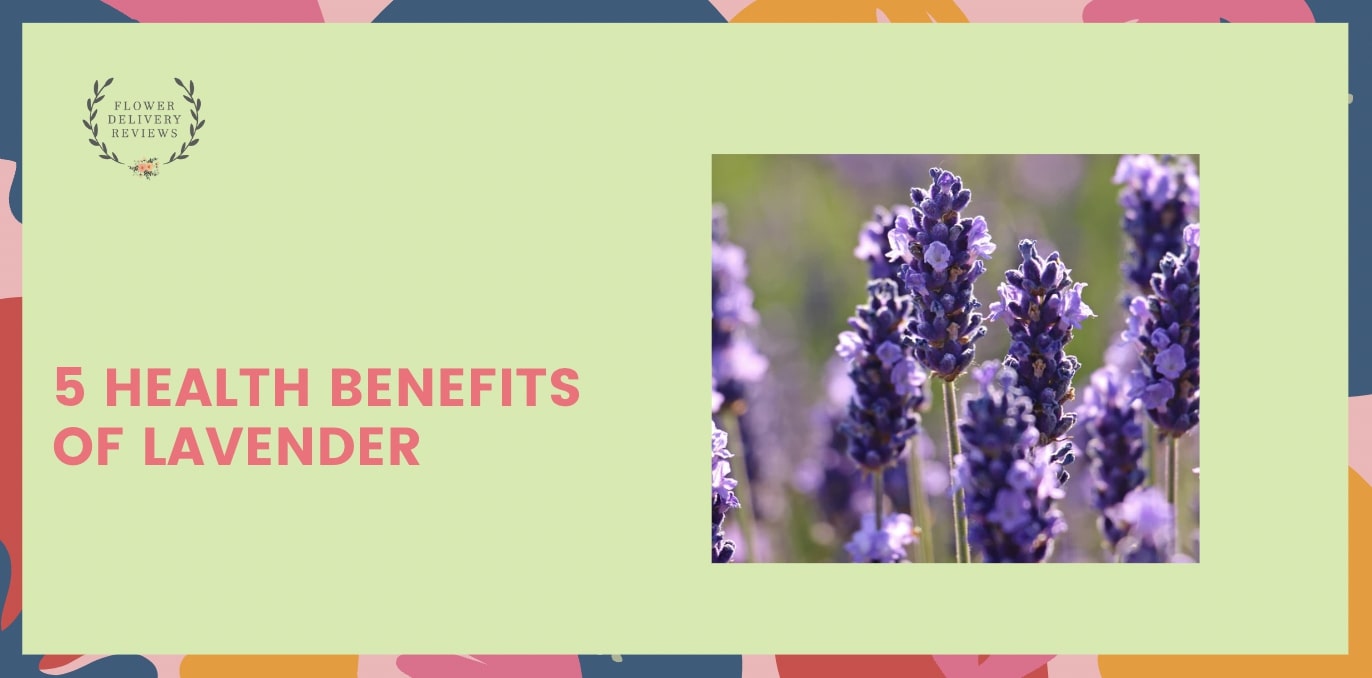 5 Health Benefits of Lavender