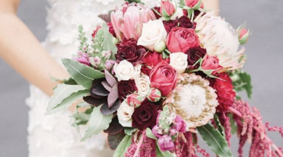 Amaranthus