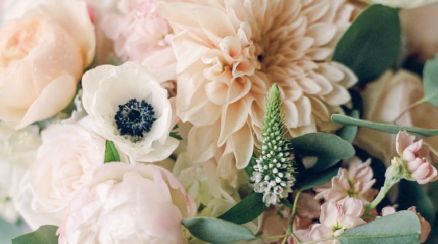 Chrysanthemums