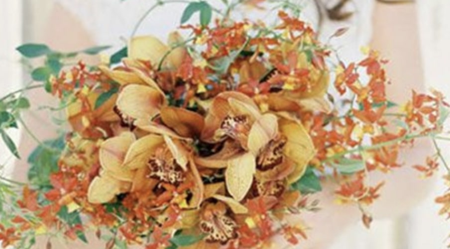 Cymbidium Orchids