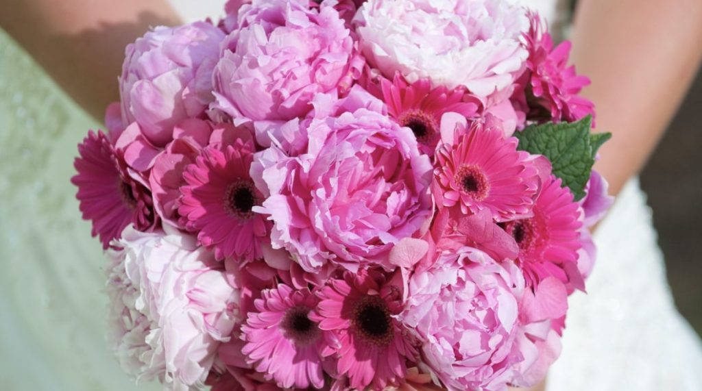 Daisies and Peonies