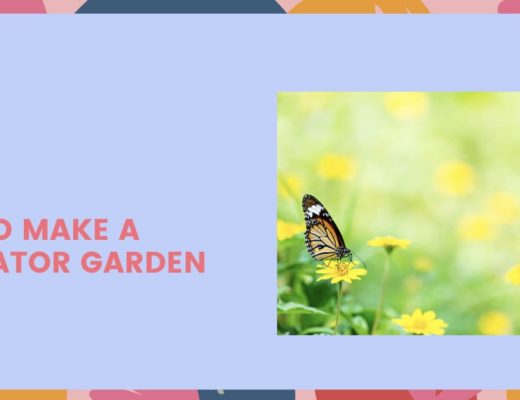 How to Make a Pollinator Garden