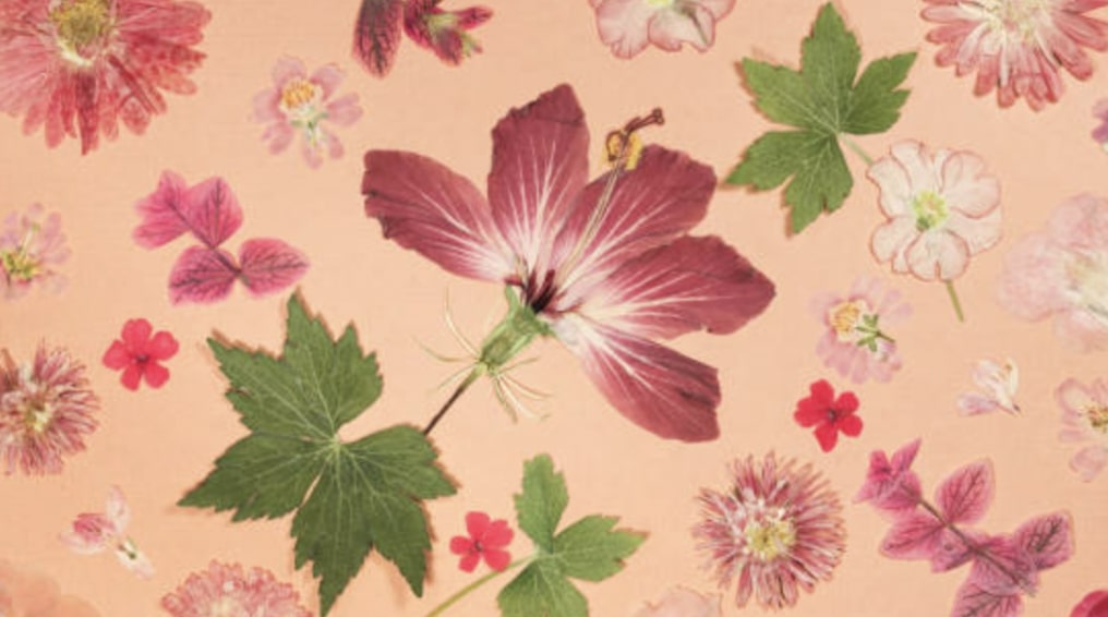 Late 19th Century