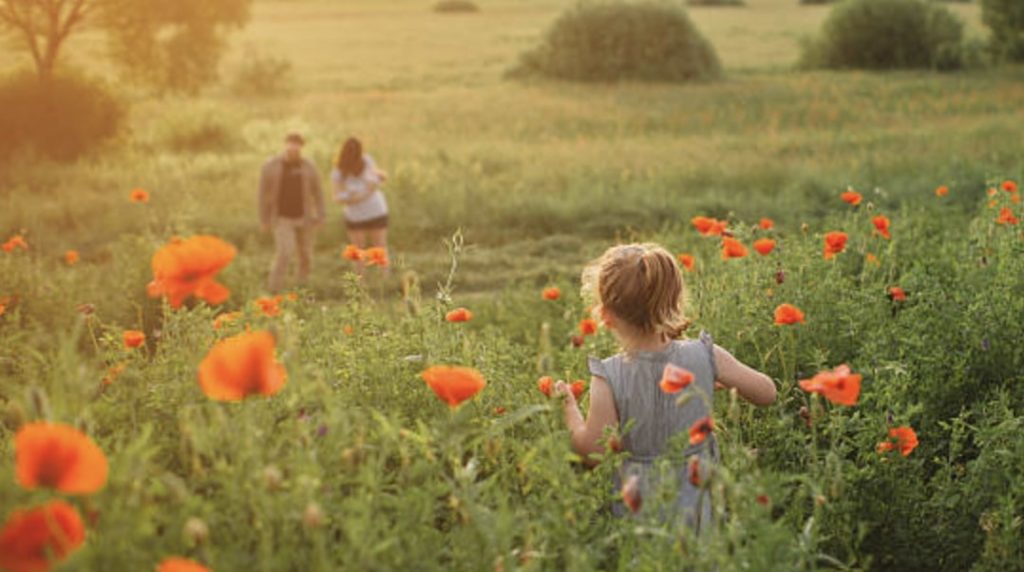 Other Care Tips for Poppies