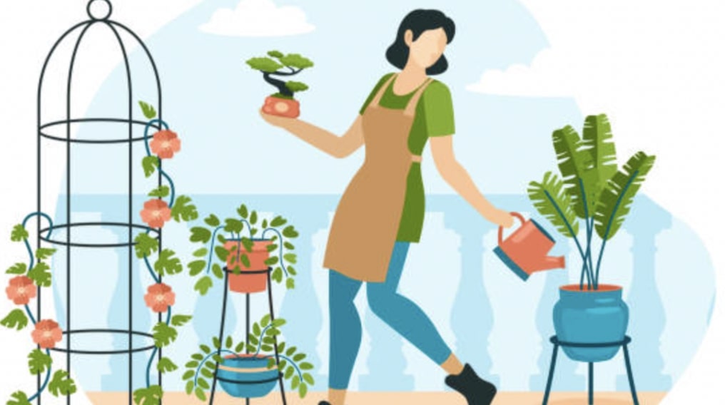 Repotting