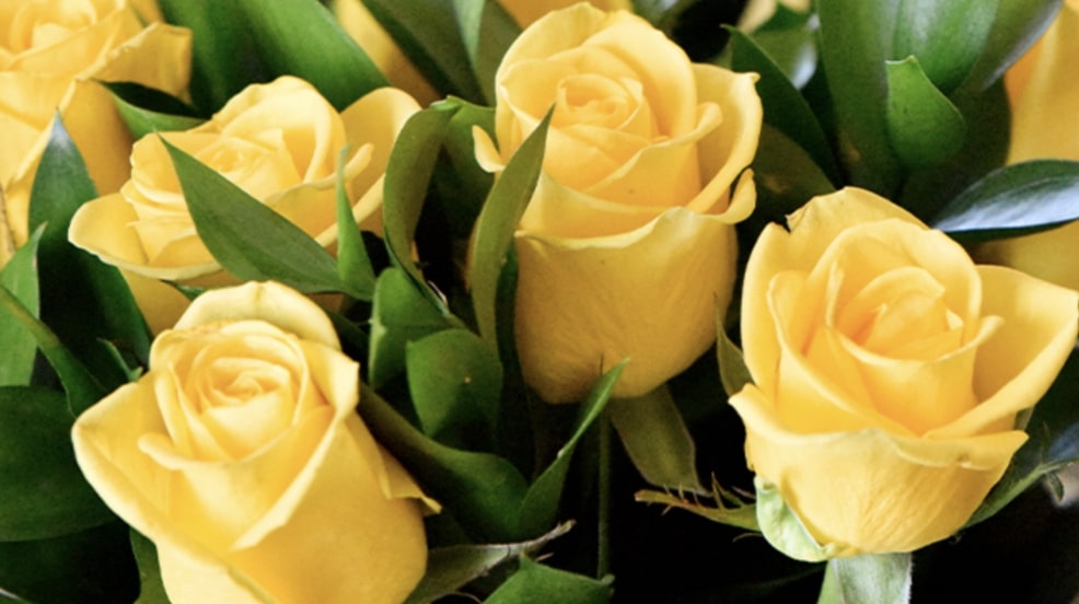 Roses