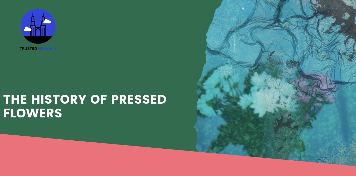 The History of Pressed Flowers
