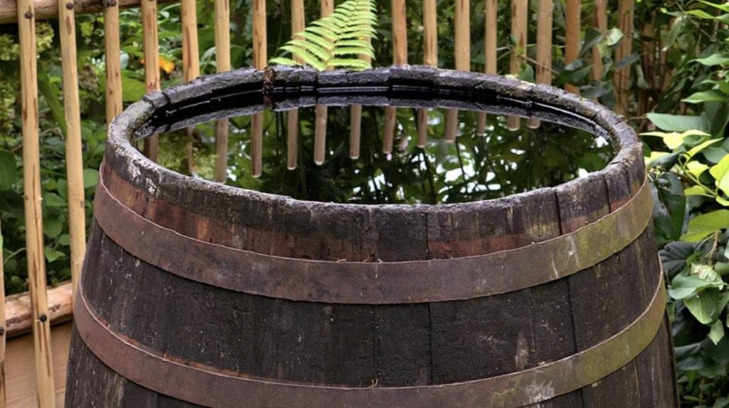 Use a rainwater barrel