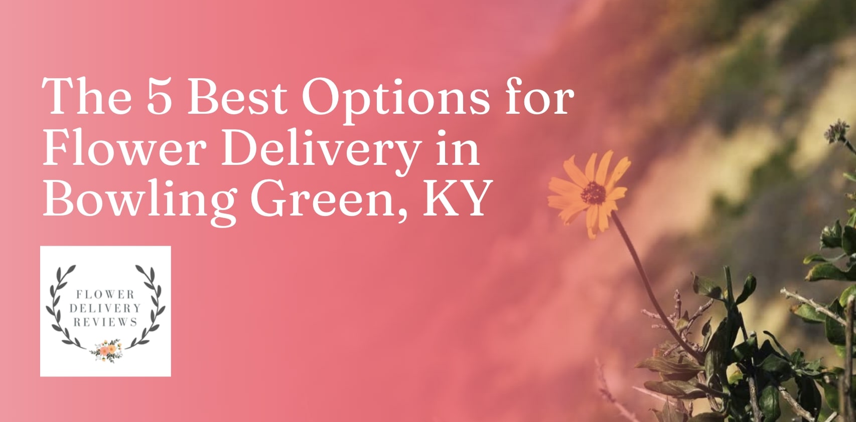 5 Best Options for Flower Delivery in Bowling Green, KY