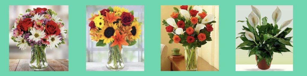 Avas Flowers Homepage