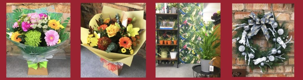 Damson in Bloom's Homepage