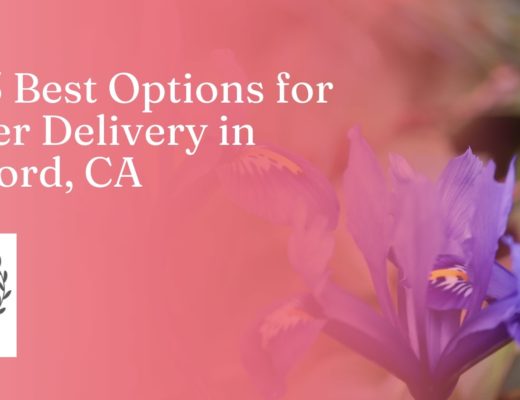 The 5 Best Options for Flower Delivery in Concord, CA