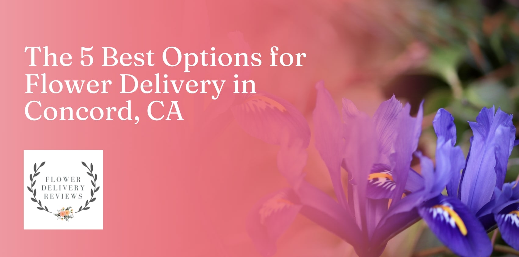 5 Best Options for Flower Delivery in Concord, CA