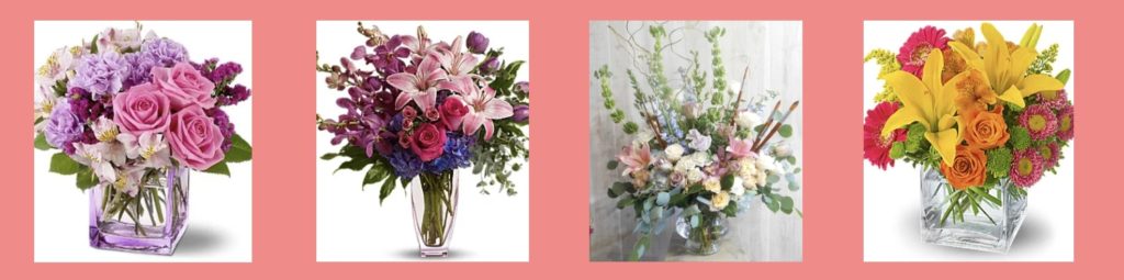 Petals & Stems Homepage
