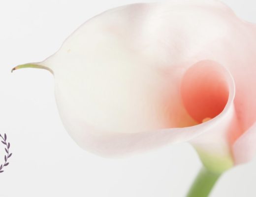 The 5 Best Flower Delivery Shops in Dothan, AL