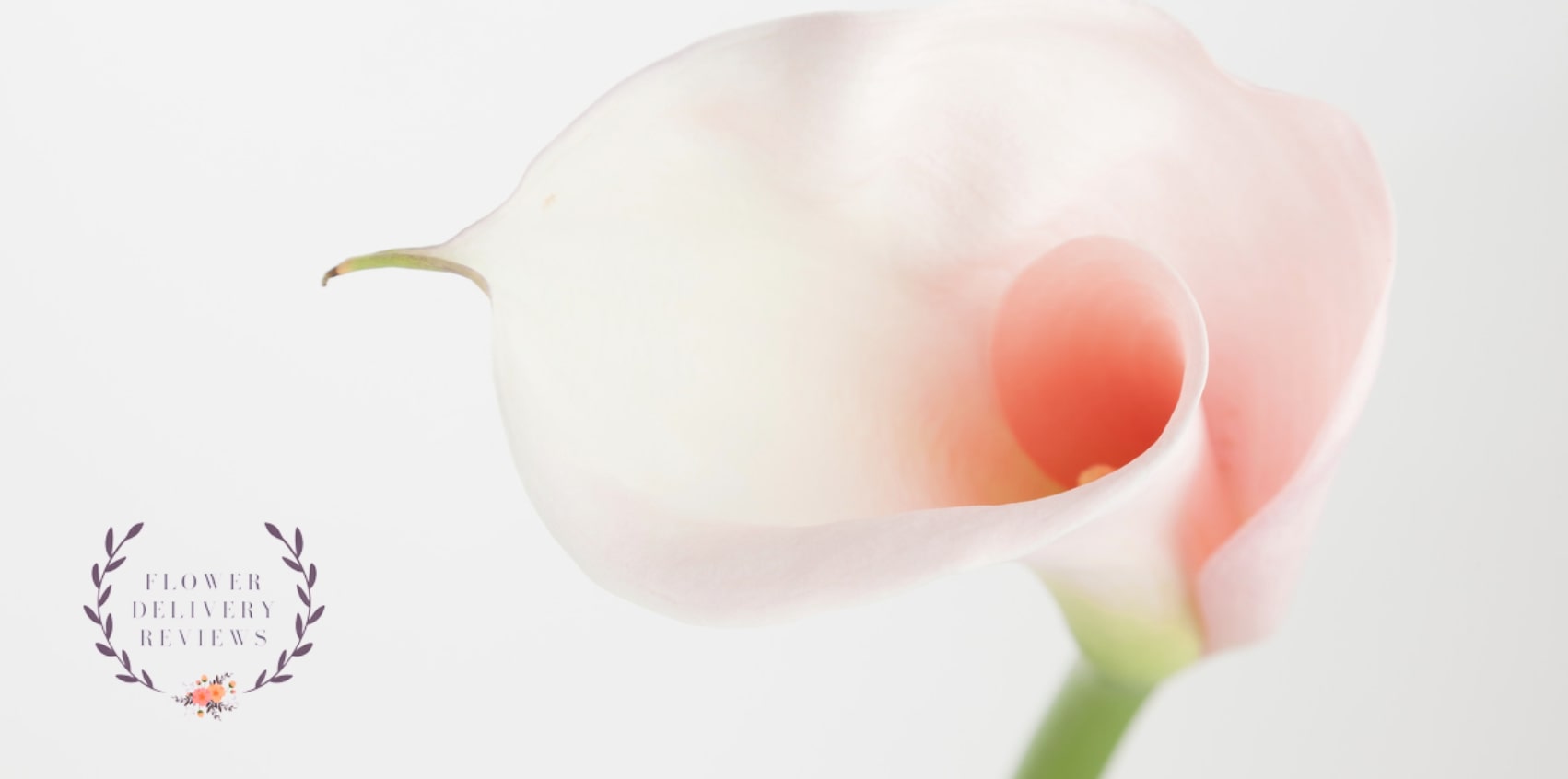 5 Best Flower Delivery Shops in Dothan, AL