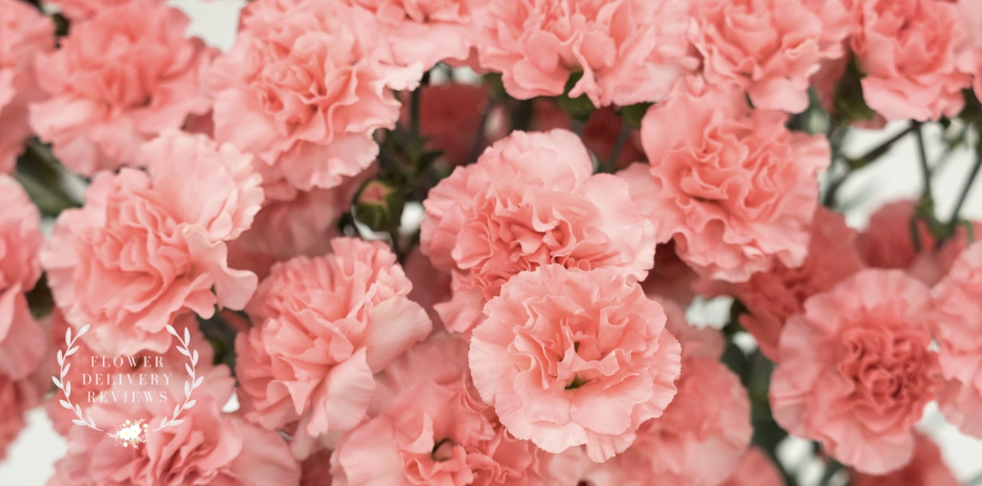 5 Best Options for Flower Delivery in Decatur, GA