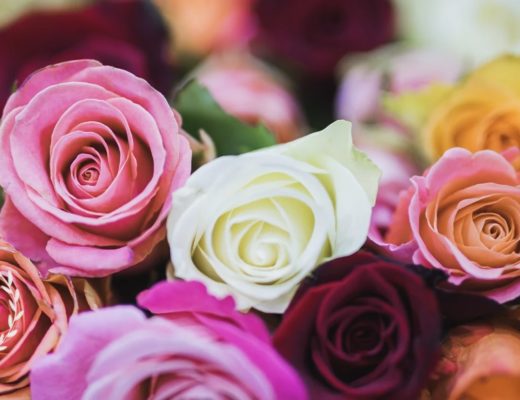 The 5 Best Options for Flower Delivery in Escondido