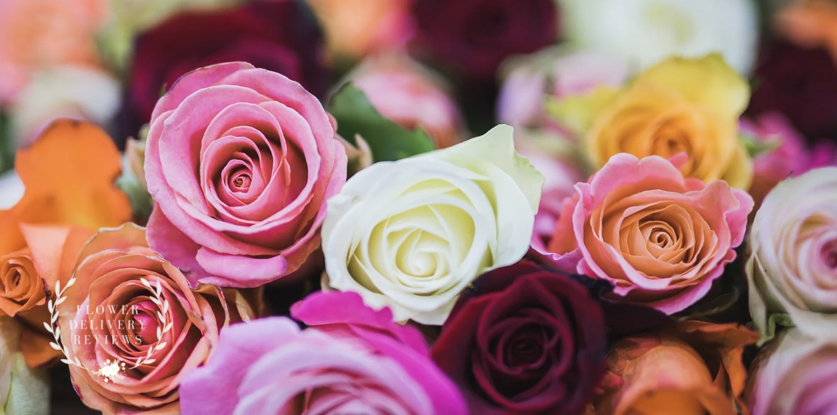 5 Best Options for Flower Delivery in Escondido