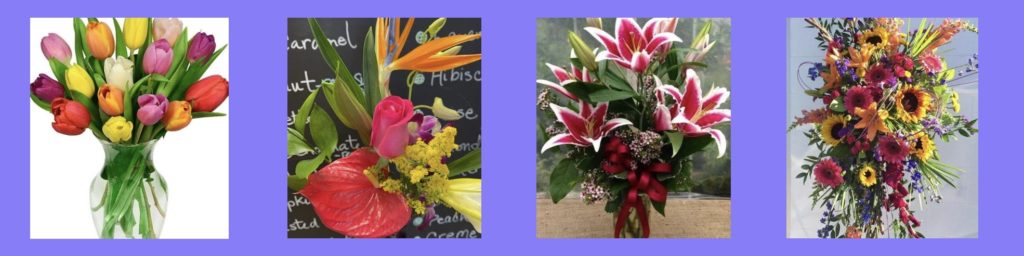Bloom and Bean's Homepage