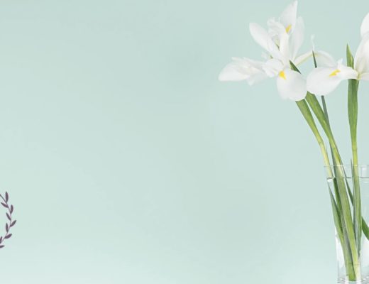 5 Best Shops for Flower Delivery in Harrisonburg, VA